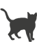 Adult Adult