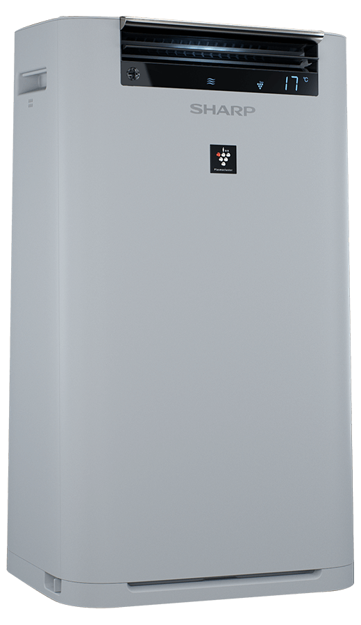 Sharp Ultimate Air UA-HG50E-L