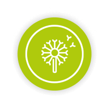 przyjazny dla alergików