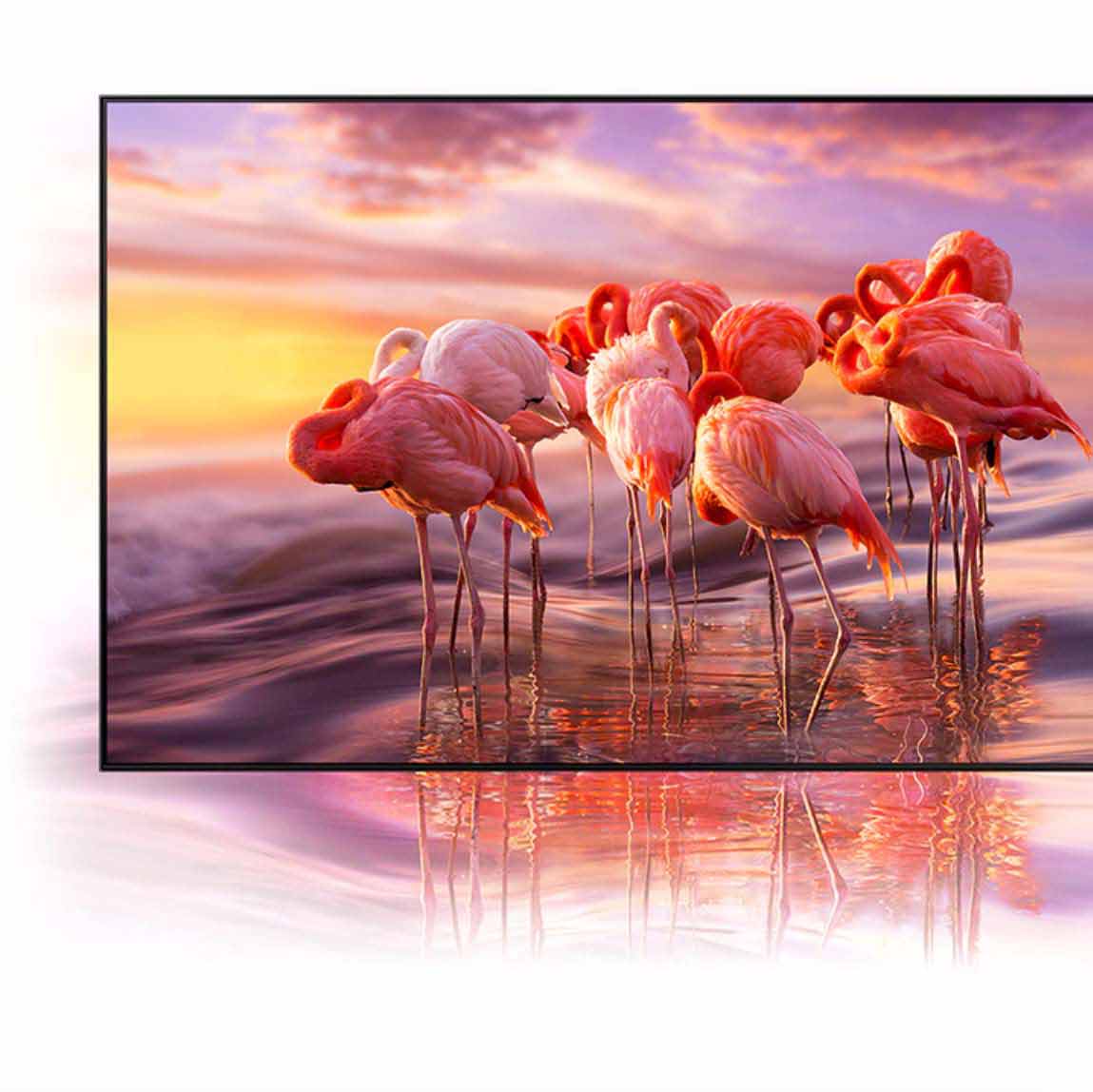 natezenie kolorow qn90a neo qled natezenie kolorow qn90a neo qled