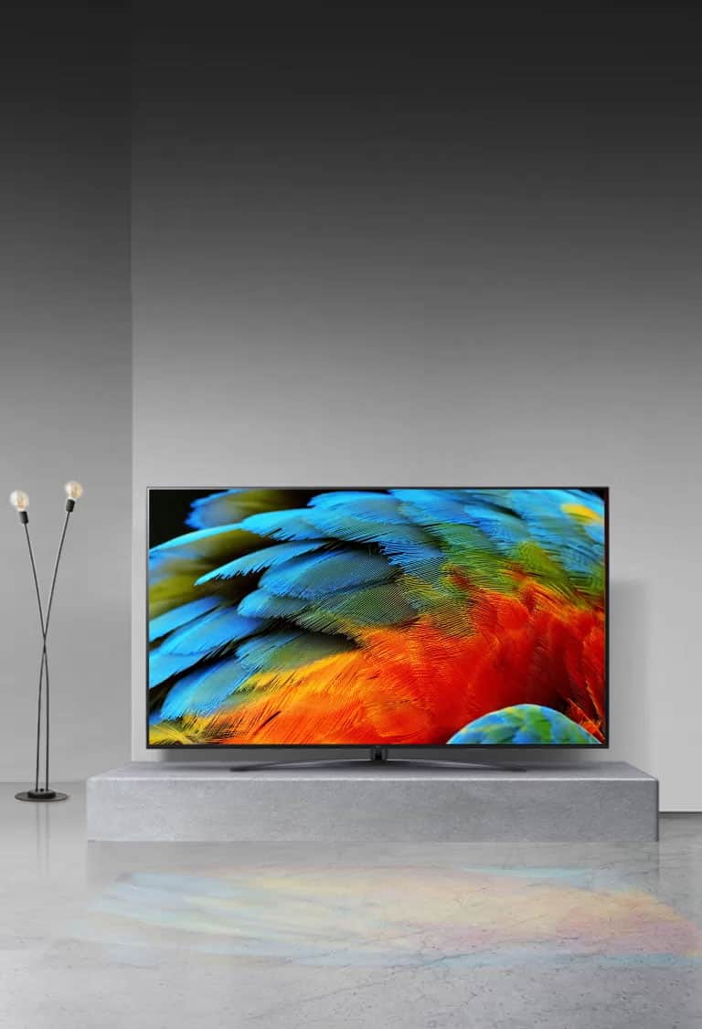 Zbliżenie na kolorowe pióro ptaka, na którym widać każdy szczegół, dzięki procesorowi α7 Gen5 AI 4K.