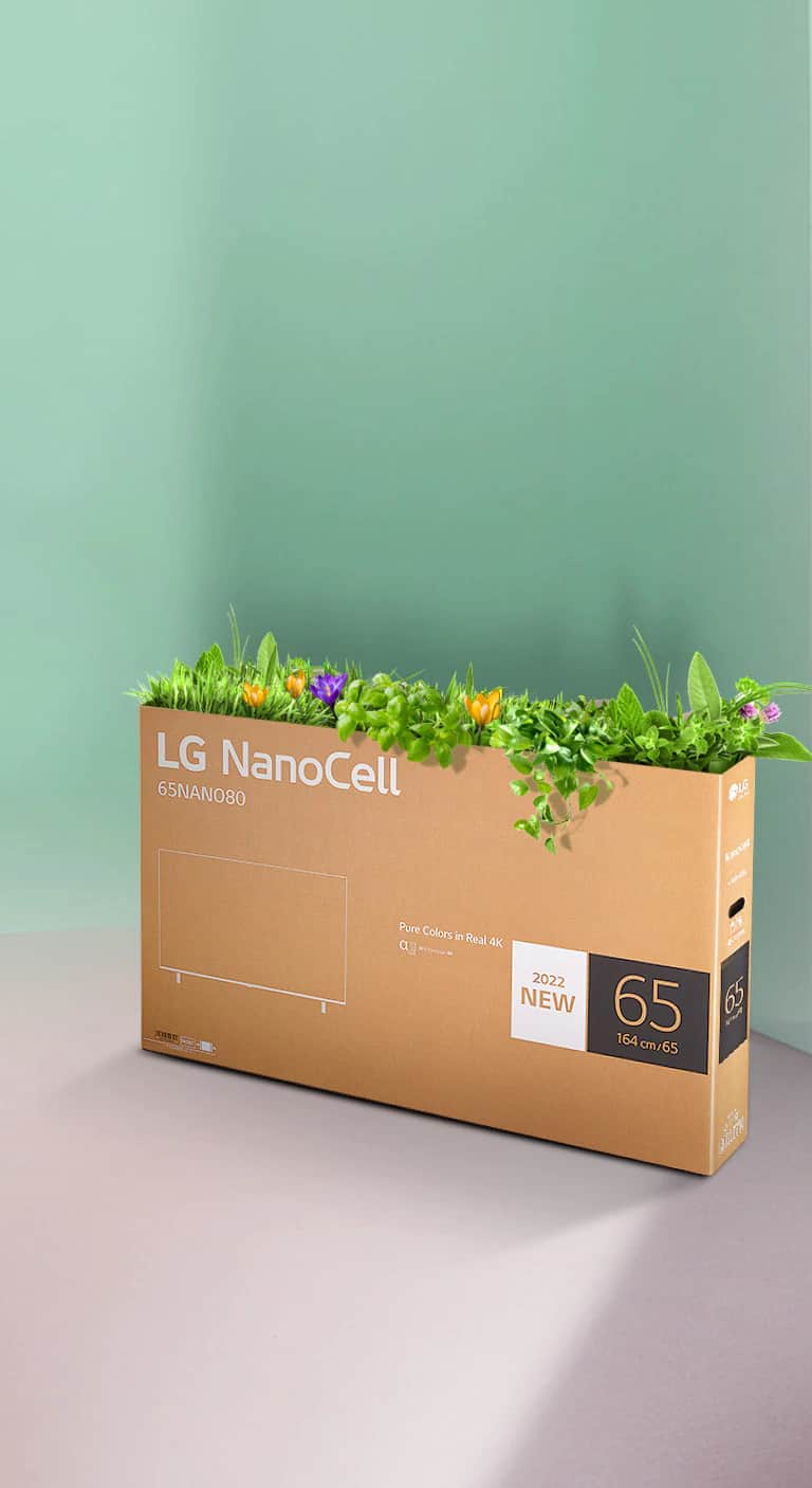 Nadające się do recyklingu opakowanie telewizora LG NanoCell z kwiatami i innymi roślinami wystającymi na górze.