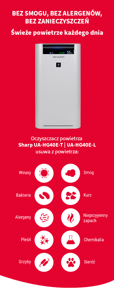Sharp Ultimate Air UA-HG40