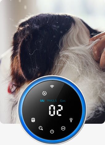 Philips Wskaźnik alergenów Philips Wskaźnik alergenów