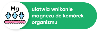 lepsze wnikanie magnezu lepsze wnikanie magnezu