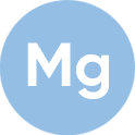Magnez Magnez