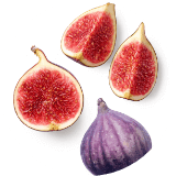 icon5 icon5.png