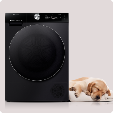 Image: Hisense Hisense