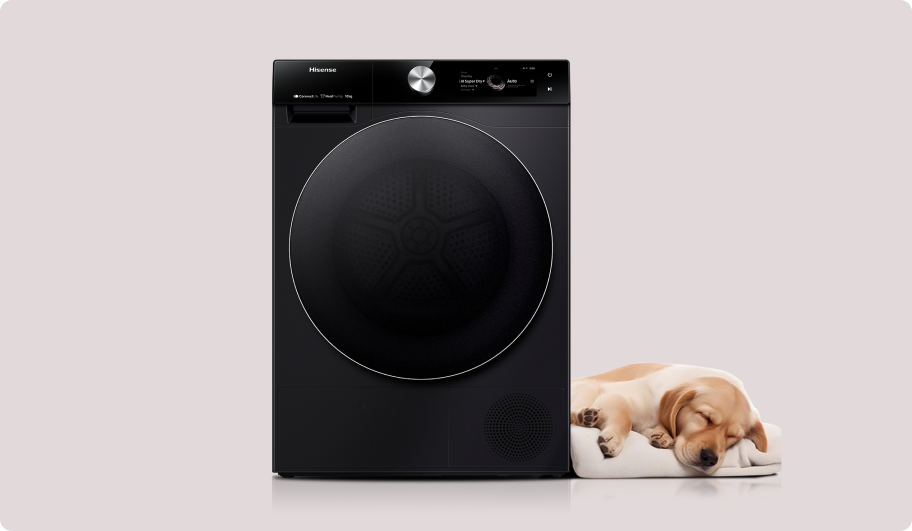 Image: Hisense Hisense