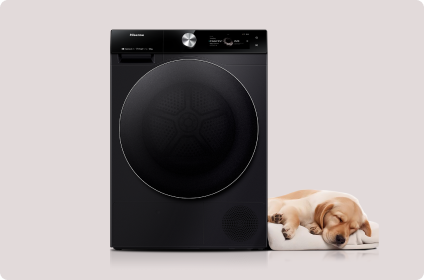 Image: Hisense Hisense