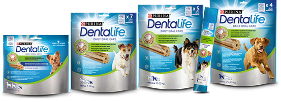 Karma Purina Dentalife Small Przysmaki Stomatologiczne Szt G