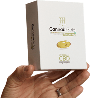 hand holding cannabigold pills