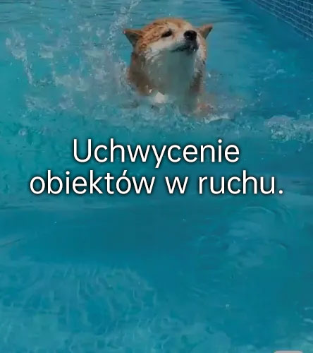 Uchwycenie obiektów w ruchu