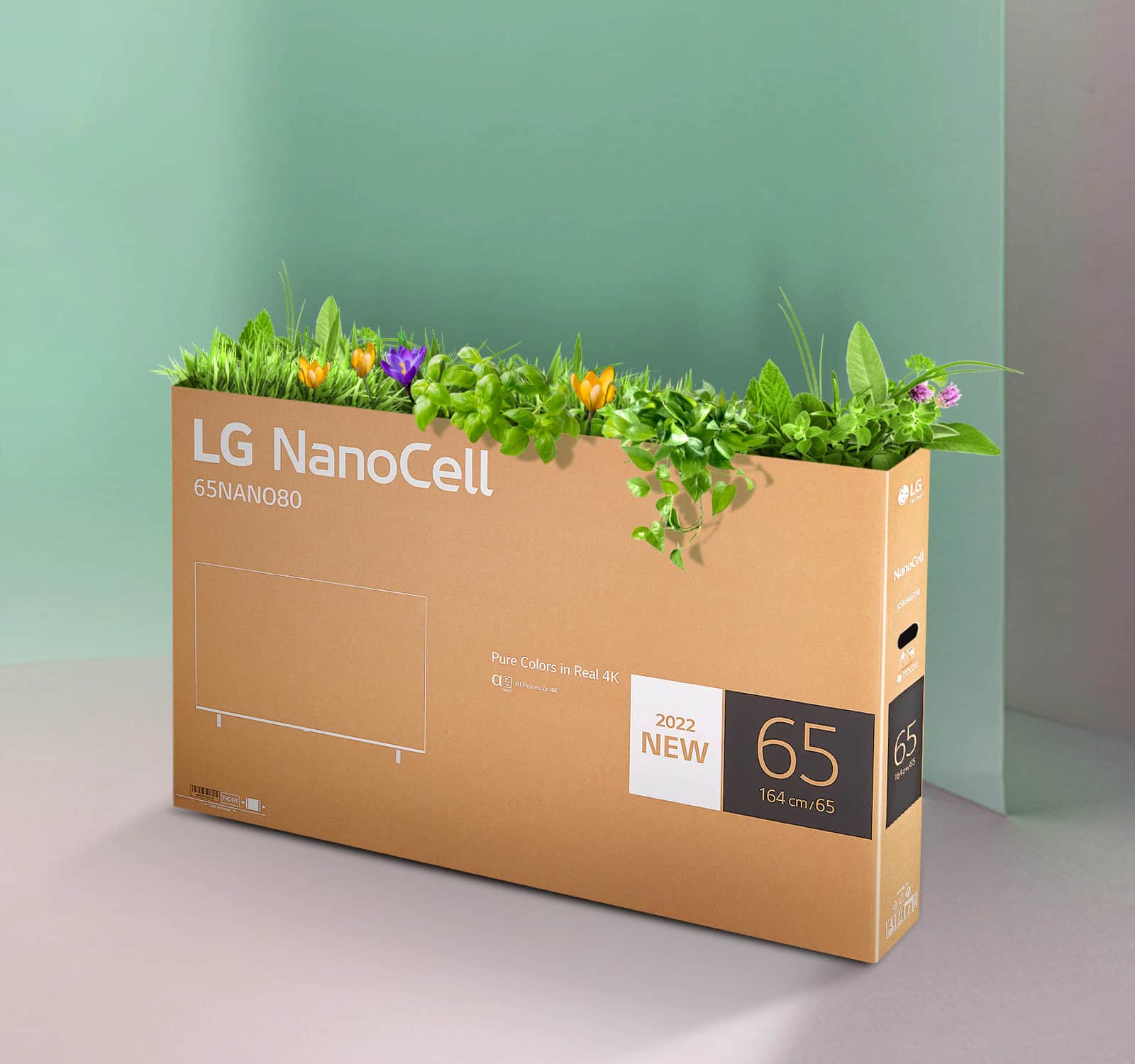 Nadające się do recyklingu opakowanie telewizora LG NanoCell z kwiatami i innymi roślinami wystającymi na górze.