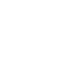 Ikona