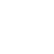 Ikona