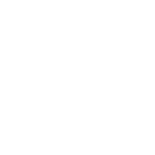 Ikona