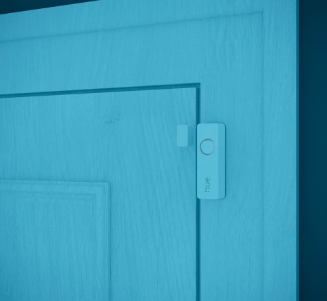 Philips Hue Secure
