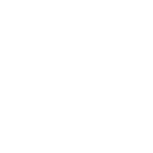 Ikona