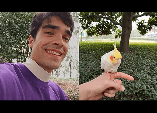 Dual-view Video