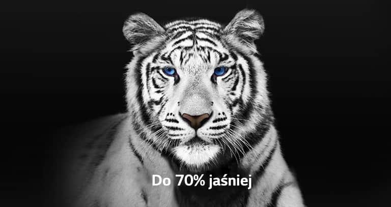 Poznaj jeszcze jaśniejszy OLED