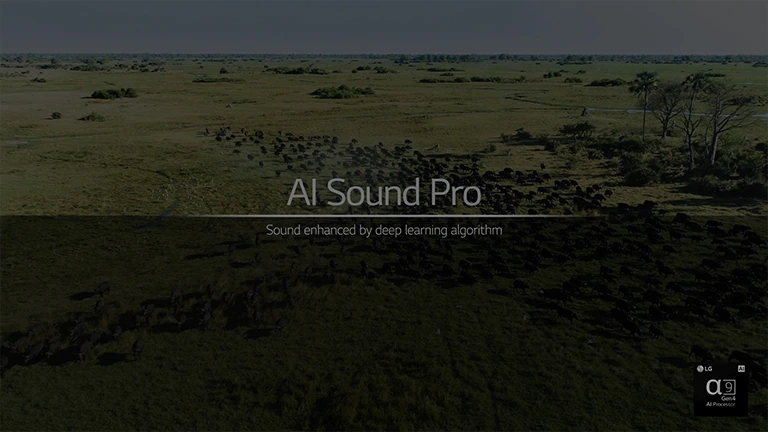 To jest film o funkcji AI Sound Pro. Kliknij przycisk „Obejrzyj cały film”, aby odtworzyć film.