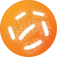 icon2 icon2.png