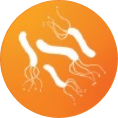 icon3 icon3.png