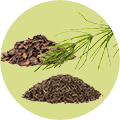 icon3 icon3.png