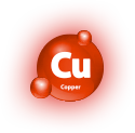 Cząsteczka Cu