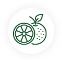 Ikona
