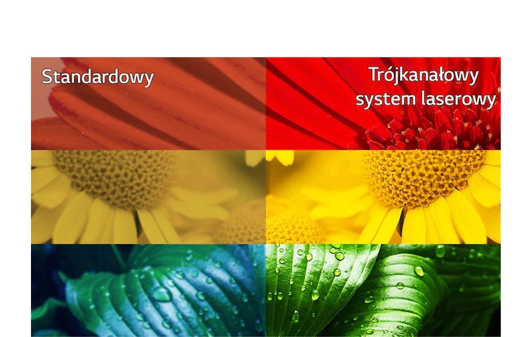 Doskonałe odwzorowanie kolorów2