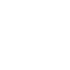 Icon-1