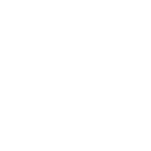 Ikona