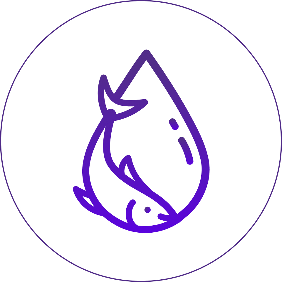 Istotna rola kwasów tłuszczowych Omega 3 Istotna rola kwasów tłuszczowych Omega 3
