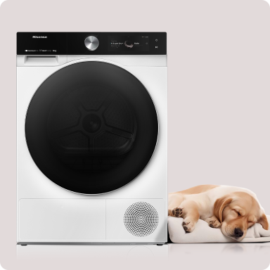 Image: Hisense Hisense