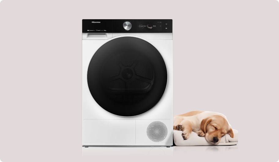 Image: Hisense Hisense