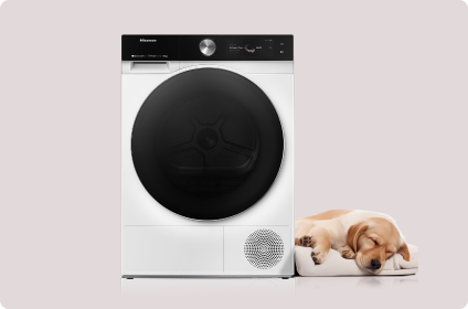 Image: Hisense Hisense
