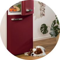 Image: Gorenje ONTR Gorenje ONTR