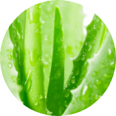 contains-1 contains-1.png