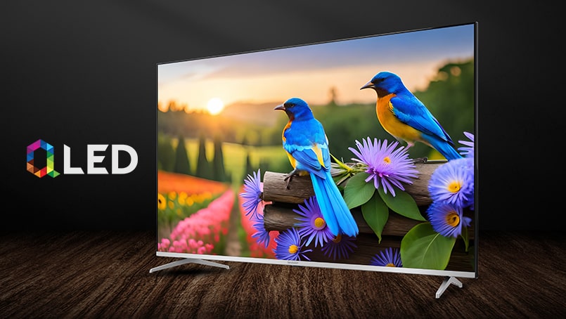 4K ULTRA HD QUANTUM DOT SHARP GOOGLE TV