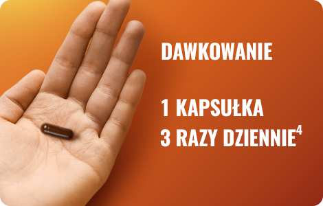 Dawkowanie i stosowanie leku Essentiale Max w terapii wątroby Dawkowanie i stosowanie leku Essentiale Max w terapii wątroby