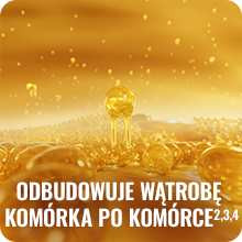 Wzmocnienie i regeneracja wątroby przez lek Essentiale Max Wzmocnienie i regeneracja wątroby przez lek Essentiale Max