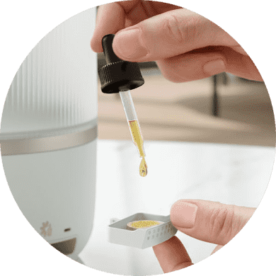 Kojąca aromaterapia Kojąca aromaterapia
