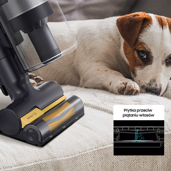 Po prawej stronie pies, po lewej elektroszczotka Pet Tool Po prawej stronie pies, po lewej elektroszczotka Pet Tool