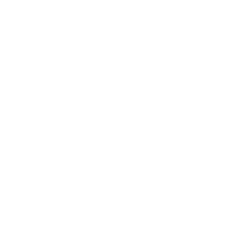 Ikona