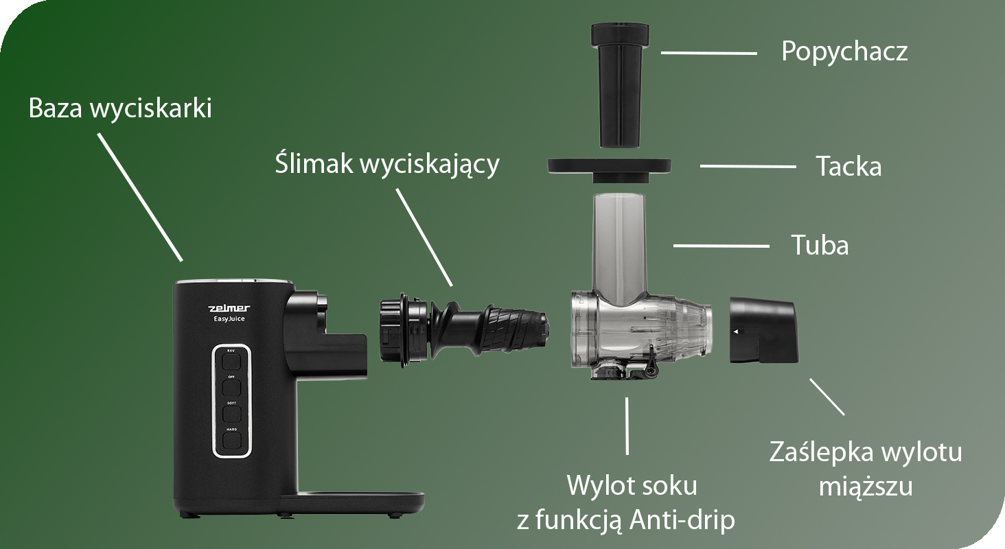Infografika