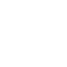 Ikona