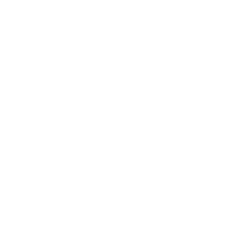 Ikona