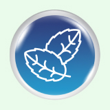 Image: Icon